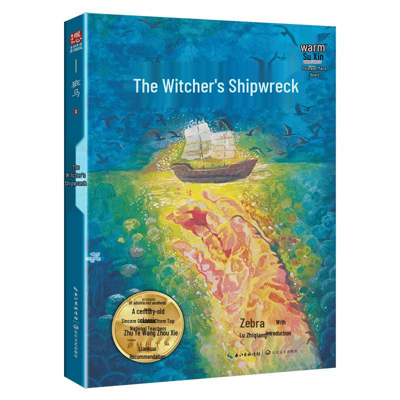 The Wizard s Shipwreck Children s Book