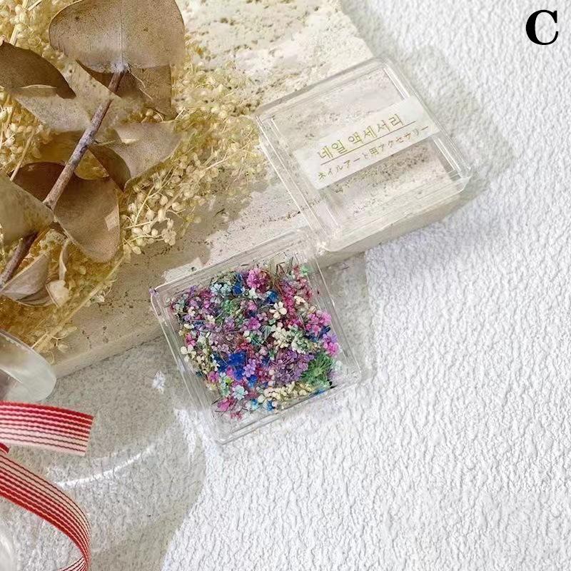 1Box Nail Art Flower Decoration Delicate 3D Dried Flower Nail Art Decorations Exquisite Nail Art Beauty For Charms Accessories