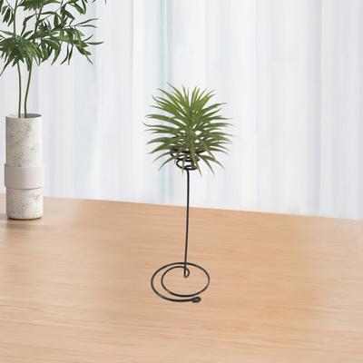 Praktisk Spiraldesign Långvarigt Blomsterställ Utomhus Trädgård Luftväxter Displayhållare Ornament Heminredning
