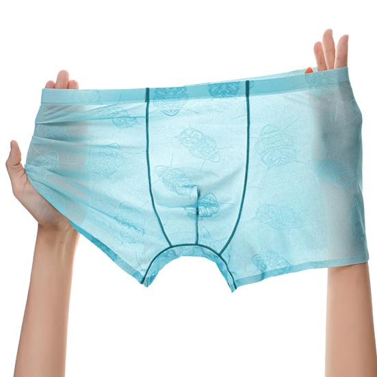 Men Boxer Underwear Low-rise Perspective Thin Shorts Panties Perspective Embroidery Lace Owl Pattern U-convex Underwear