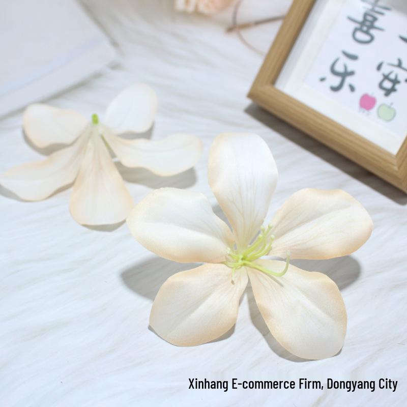 Spring Sweet Phalaenopsis Orchid Hair Clip: Three-Dimensional Floral Accessory for Photography шампанского