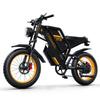 COSWHEEL GT20 20" Electric Dirt Bike 1000W Motor 48V 25Ah Battery