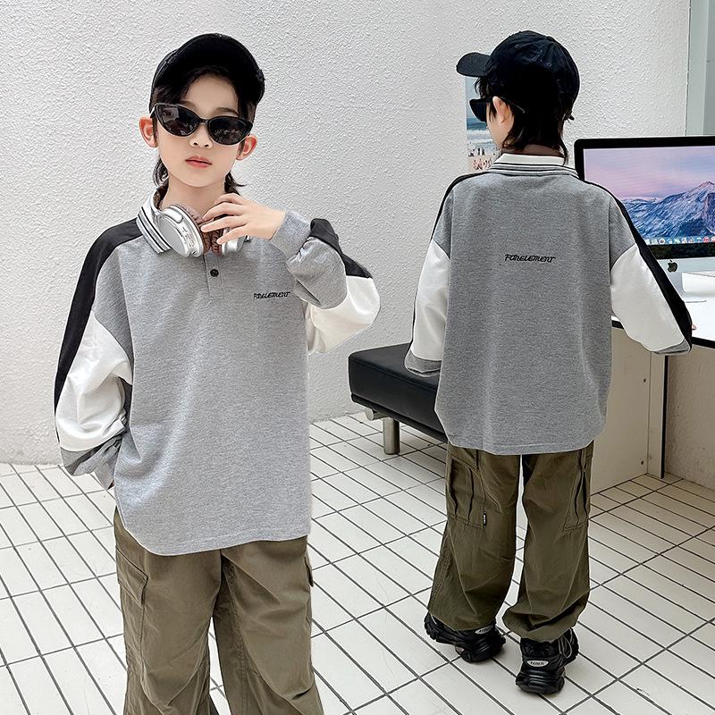 

Свитшот для мальчиков с воротником поло - Вышитый, Длинный рукав, Мода Весна и Осень 2023 140 cm серый