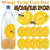 5/10/15Pcs Flying Insects Funnel Trap Reusable Garden Outdoor Pest Control Tool Portable Wasp Catcher Gardening Equipments