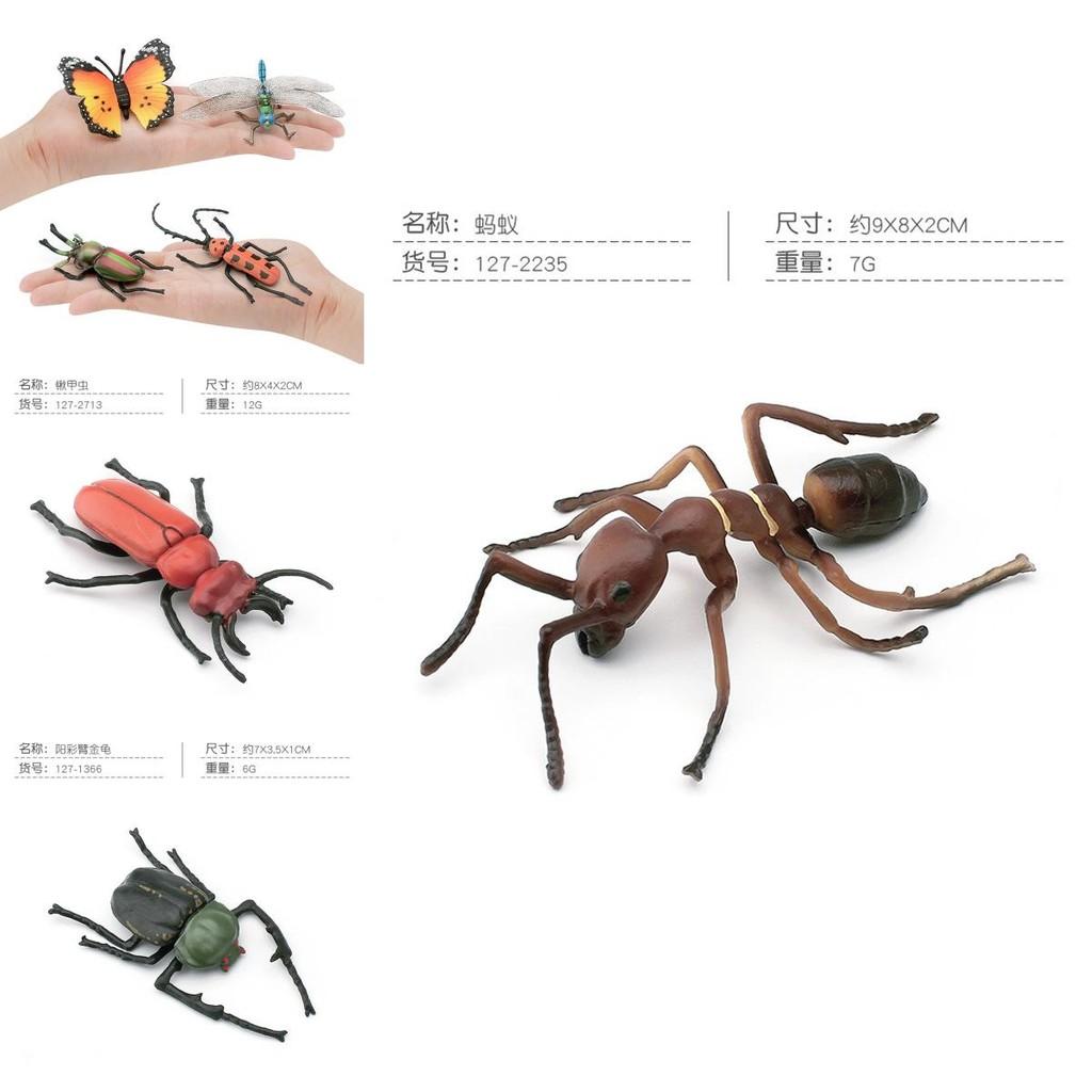 Assorted Realistic Insect Figurines Collection Featuring Butterflies Ants Beetles Spiders And Cockroaches Made From Durable Pvc