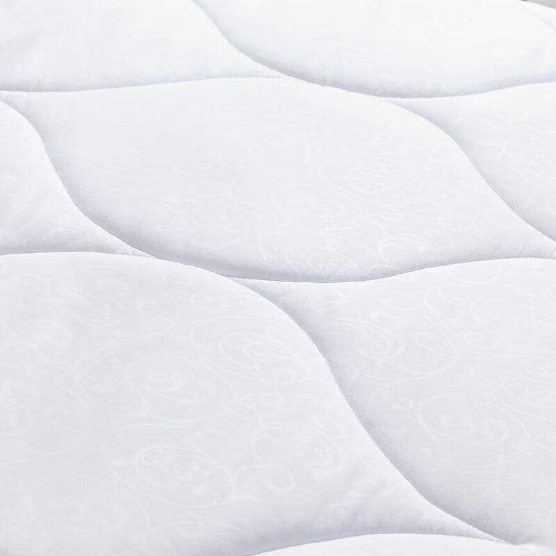 LUOLAI Anti-mite & Antibacterial Winter Duvet
