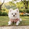 Pet Clothing Patchwork Dog Sweatshirt Cozy Warm Puppy Pullovers with Bow Soft Dog Bottoming Shirt Winter