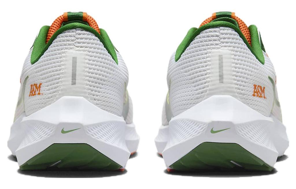 Nike Pegasus 40 Famu DZ5941-100