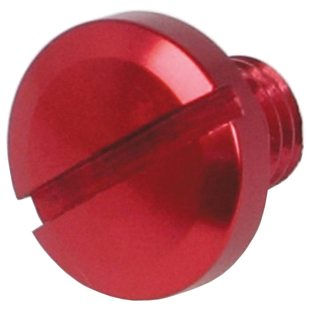 Special parts Takegawa mirror hole cap correct screw M8 x