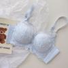 French Garden Lace Push-Up Wire-Free Bra Set for Small Busts