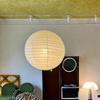Spherical Paper Lantern Large Round Chandelier Hanging Decoration Pendant Lamp  Dining Room