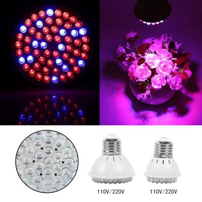 E27 24W 3528 SMD 200 LED Plant Grow Light Red+Blue E27 24W 3528 SMD 200 LED Plant Grow Light Red+Blue