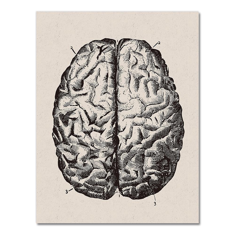 Human Anatomy Wall Art Hospital Vintage Posters and Prints Doctor Office Decoration Skeleton Anatomical Skull Canvas Painting