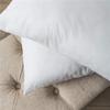 Feather Velvet Pillow Core - Napped Fabric Sofa Cushion & Car Lumbar Support (45 X 50)