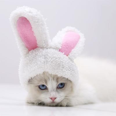 Cute Warm Shu Cotton Lint Small and Medium-sized Dog Dog Cat Pet Rabbit Dog Hat Hood Cat Supplies Autumn and Winter