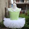 Children's Dance Clothes Girls' Practice Clothes Chinese Dance Tutu Fluffy Gauze Skirt Performance Clothes Princess Dress Body Clothes