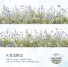 1 roll 50mm*2m Plant theme sticker DIY collage decorative paper Scrapbooking Material handmade Diary Album Junk Journal Supplies