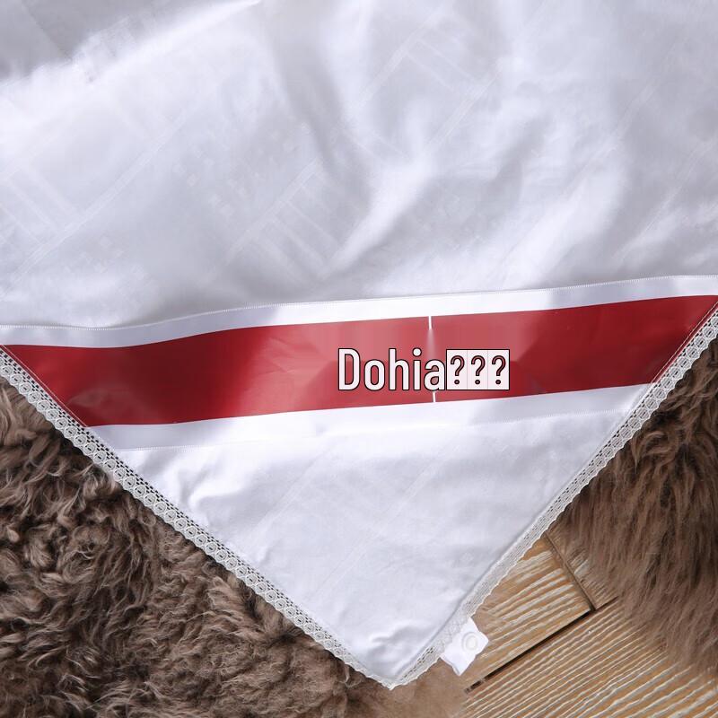 Dohia Silk Charm Summer Thin Quilt