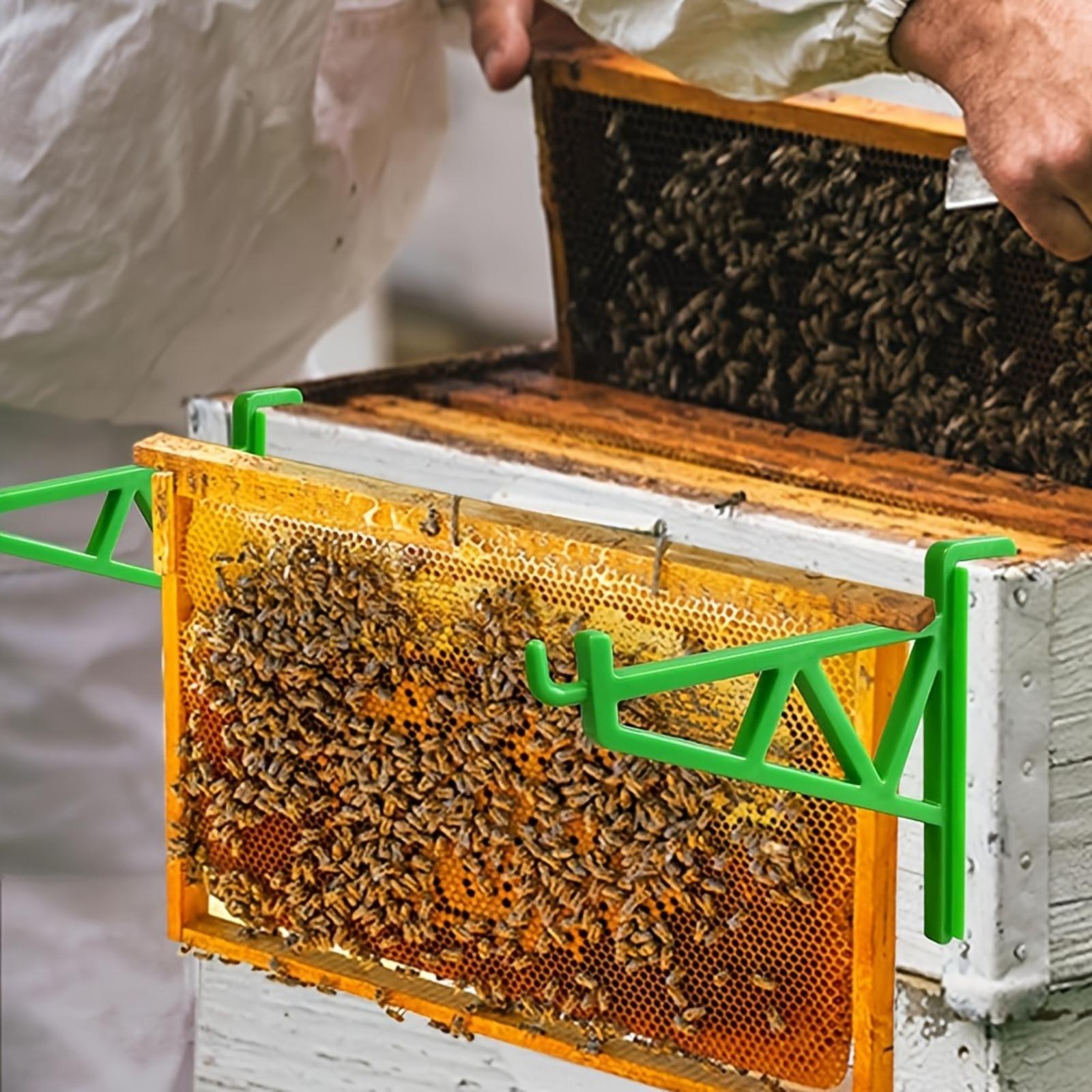 Plastic Honeycomb Frame One Size