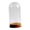 DIY Glass Dome Cloche Holder for Microlandscape and Home Display