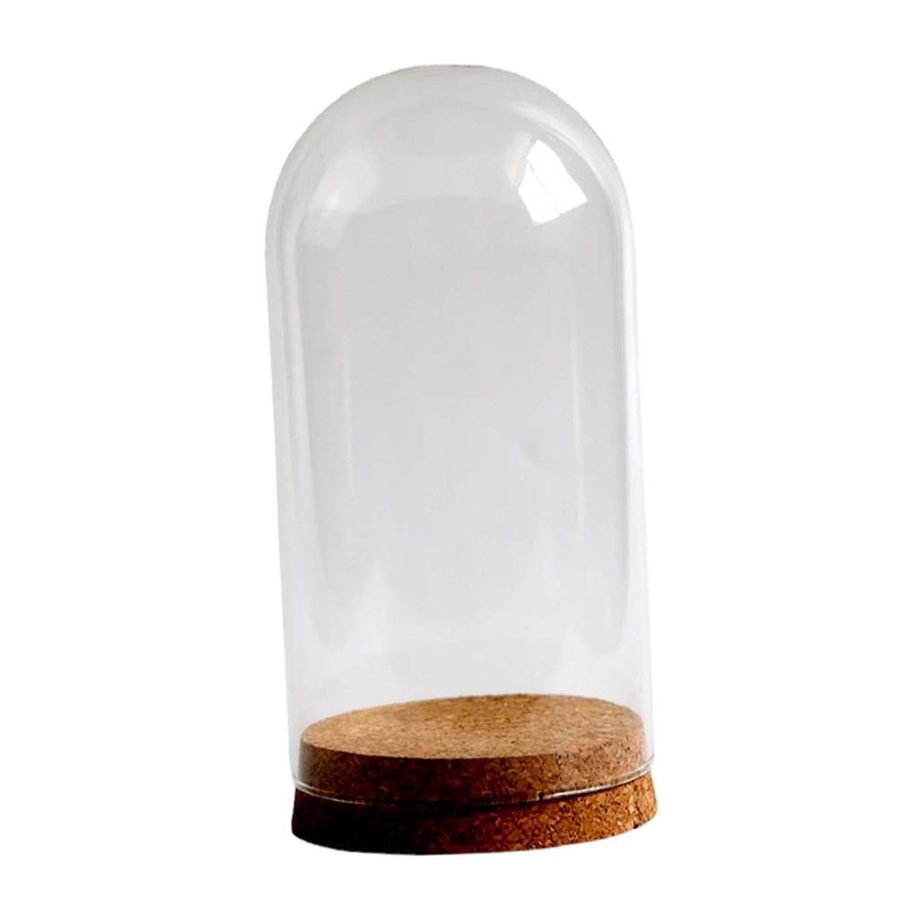 DIY Glass Dome Cloche Holder for Microlandscape and Home Display