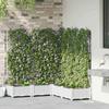 Garden Planter 5 pcs White 120 x 120 x 126 cm Plastic
