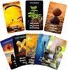 QCFQCF Twin Flame Love Oracle Cards Heart Hidden Secrets Oracle Deck for Beginners 78 Tarot Cards Helps You Reveal the Truth of Your Heart Space