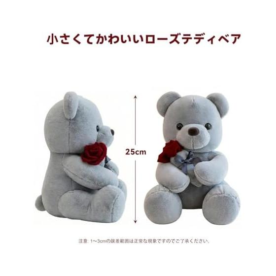 Rose Teddy Bear Plush Toy, Cute 25cm Small Size Animal Stuffed Animal, Funny Gift for Mother's Day, Valentine's Day, Celebrations (Gray)