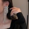 Elegant Long Tassel Diamond Earrings - Luxurious European & American Style Earrings for Women