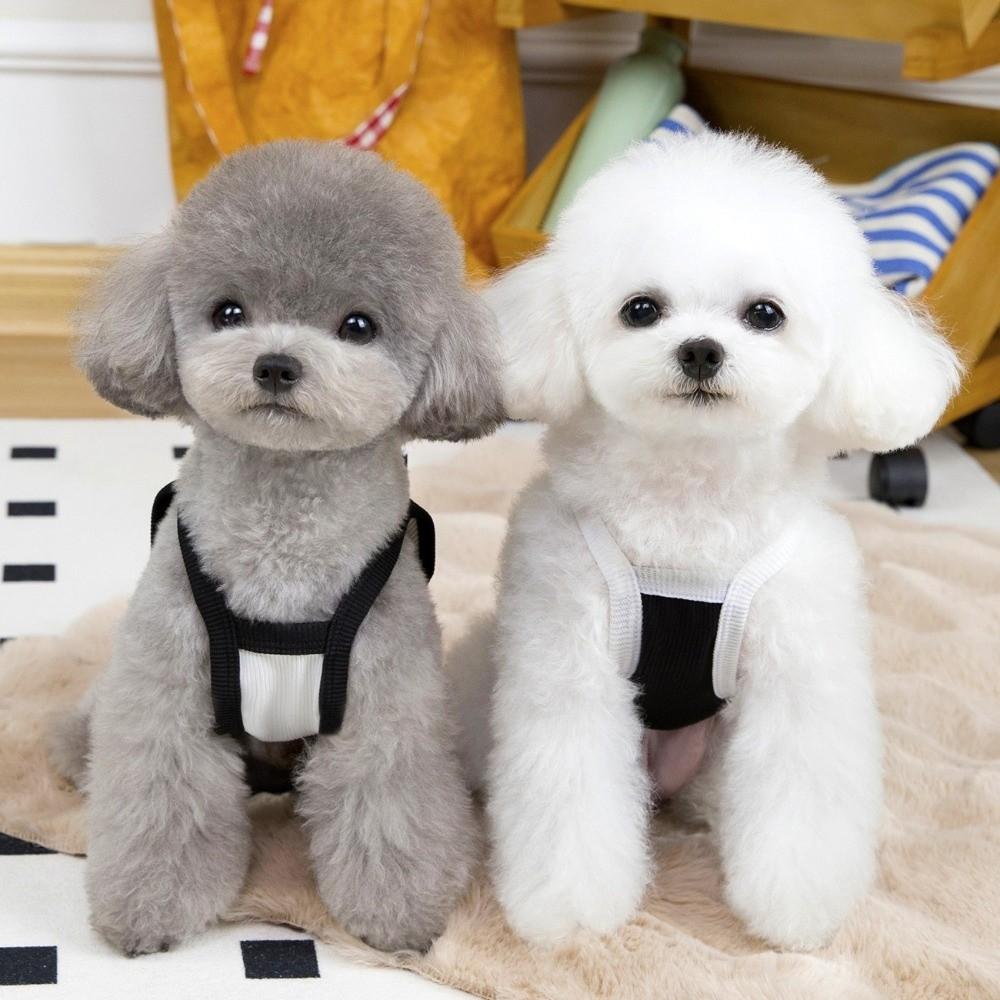 Thin Edition Pet Bow Vest Sun Protection Pet Short Sleeved Shirt Cat Camisole Vest  for Small Pets