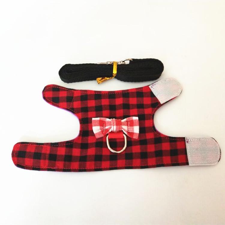 Adjustable Leash and Harness for Small Pets: Rabbit, Chinchilla, Ferret, Squirrel, Hamster, Guinea Pig, Mouse