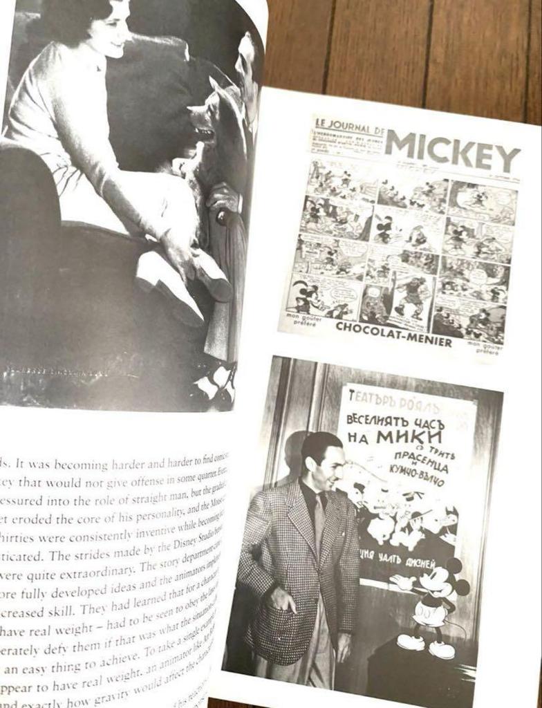 [USED] Luxury book, rare! Foreign book, Walt Disney, Disney, large size, history, collection of works