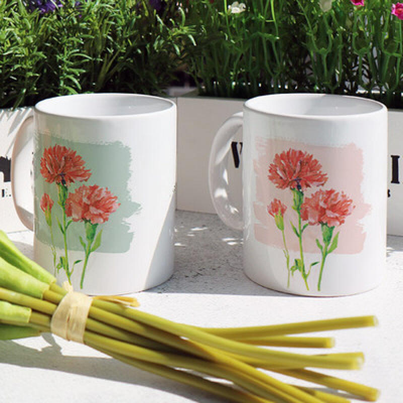ci511-Design Mug 2p-Thank You, Respect, Carnation Watercolor