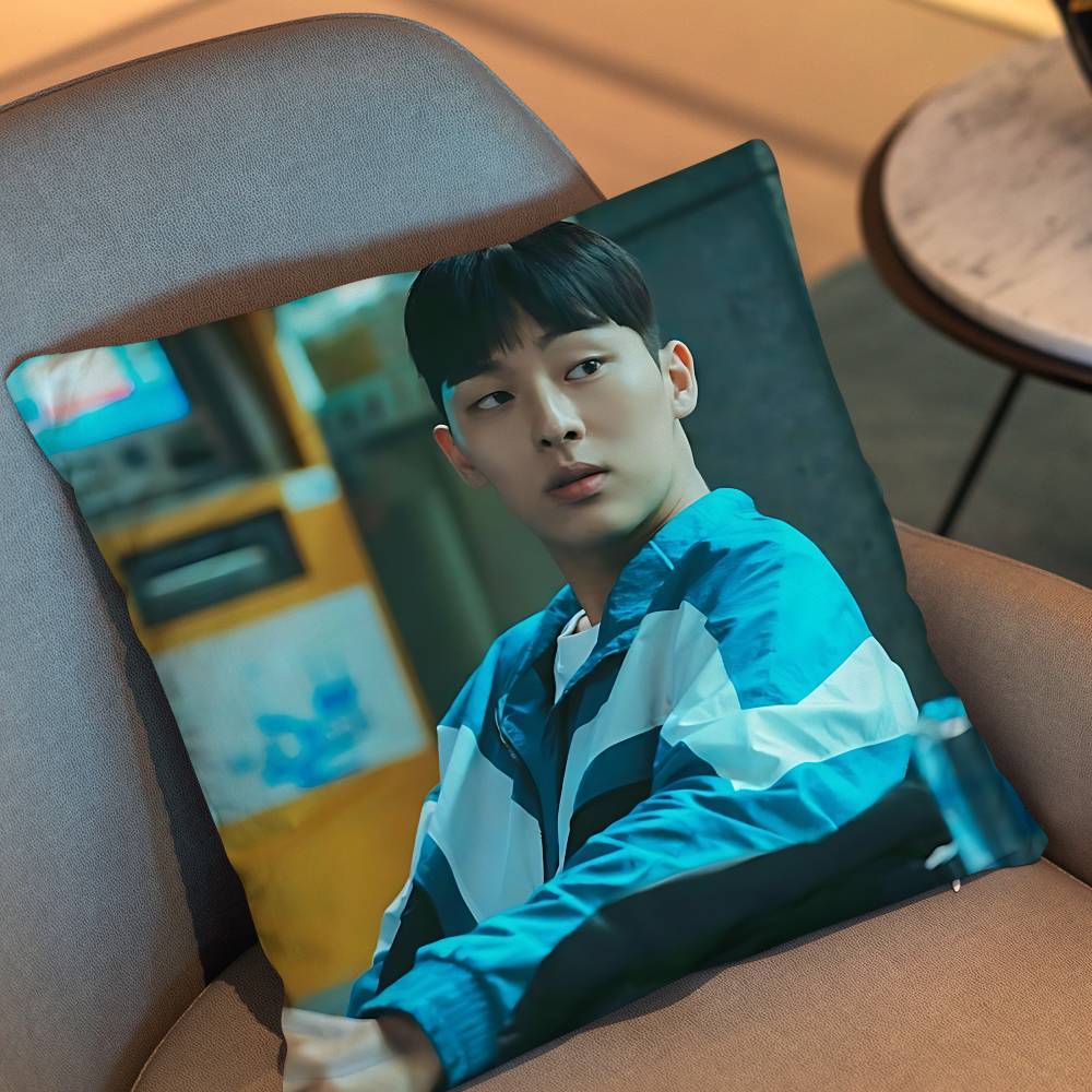 Park Jihoon Weak Hero Class Choi Hyun Wook Pillow Case Sofa Living Room Bedroom Headboard Backrest Cushion Square Cushion Nap