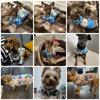 Hundeshirt im Hawaii-Strandstil, Teddy, Französische Bulldogge, Katze, kleines bis mittelgroßes Haustier, Haustierjacke, Sommerkleidung