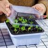 3/6pcs-Plastic Seedling Box With 12 Holes, Seedling Box With Sowing And Seedling Hole Tray