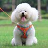 Pet Harness and Leash Set Training Walking Leads for Small Cats Dogs Harness Collar Adjustable Leashes Set