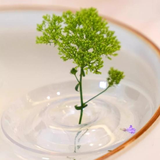 Floating Flower Stem Holder Clear Floral Arrangement Holder Floating Flower Vase