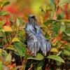 Mystical Gothic Garden Resin Figurines: Halloween Home Decor
