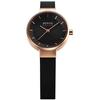 Bering Solar Women's Parallel Import 14627-166 Wrist Watch