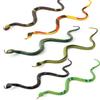 Static Wild Snake Animal Plastic Models Set For Classroom Teaching Nature Study