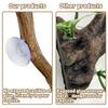 Branches for Reptiles Unique Reptile Wood Branches Climbing Accessories Natural Snake Tank Decor Reptile Climbing Corner Stick