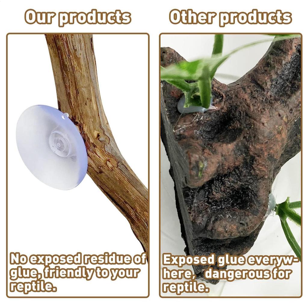 Branches for Reptiles Unique Reptile Wood Branches Climbing Accessories Natural Snake Tank Decor Reptile Climbing Corner Stick