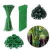 Plant Training Clip and Tie Set with Hook-and-Loop Bands, Plastic and Nylon Securing Pieces for Indoor Pot Care, Balcony Garden Care and Climbing