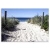 Leinwanddruck, Pfad über die Dünen zum Strand