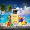 Unisex Perfume | Long Lasting Eau De Parfum | Premium Fragrance for Men & Women | 50ml (BarberBro)