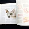 [USED] The New Encyclopedia of the Cat