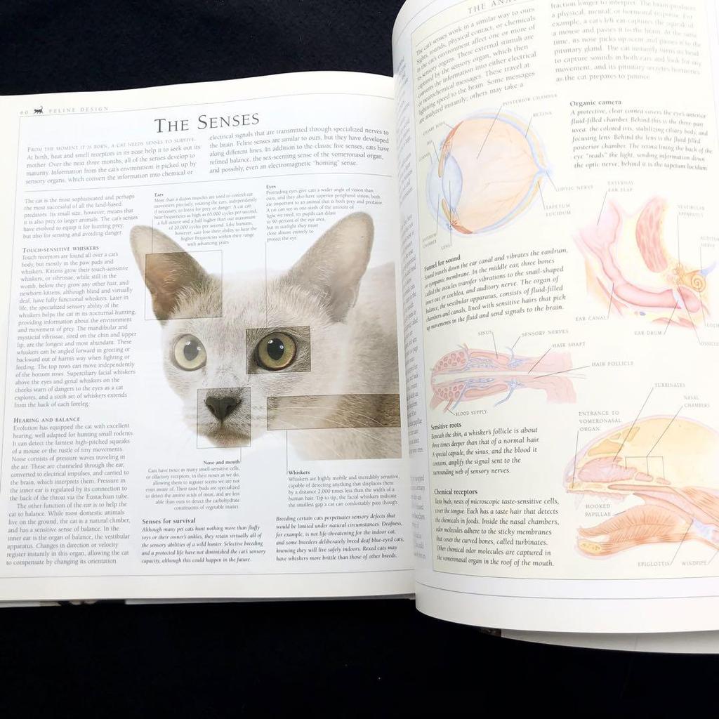 [USED] The New Encyclopedia of the Cat