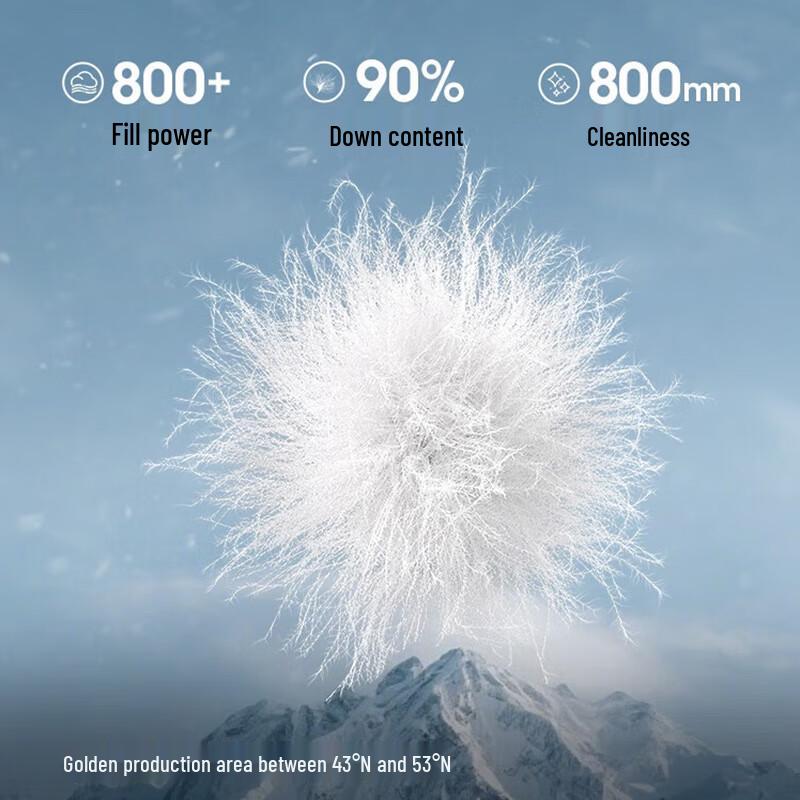 Bosideng Men's High-Loft Goose Down Hooded Parka B250241216