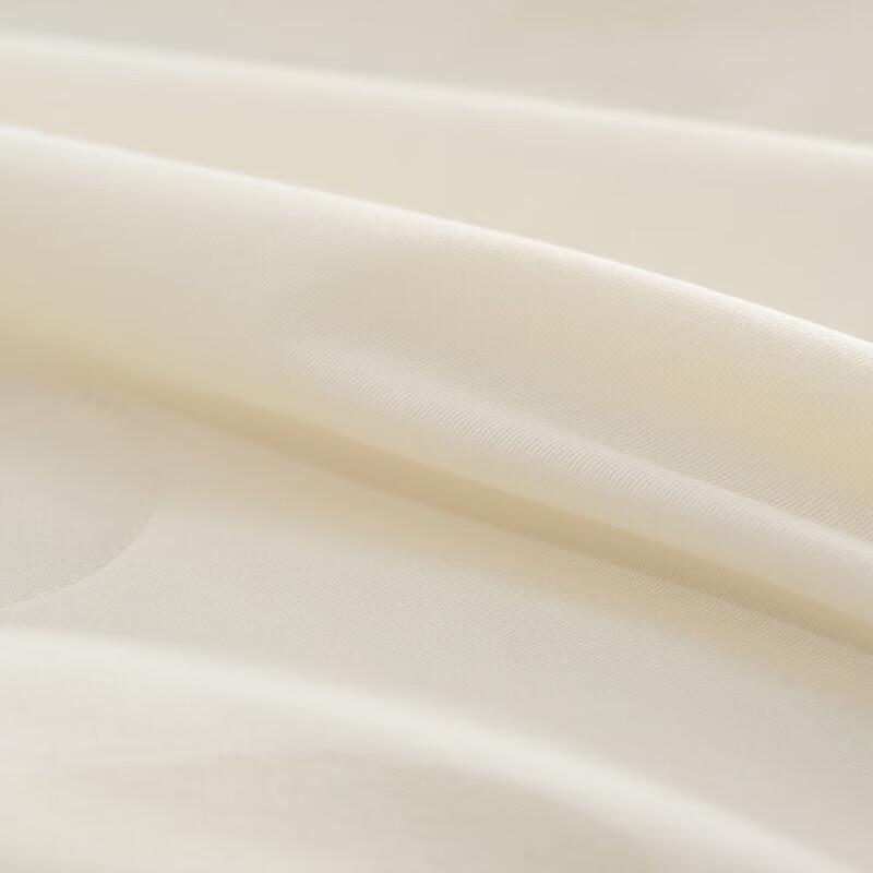 Mercury Tussah Silk All-Season Duvet